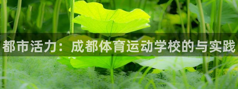 3377体育官方正版app集团官网网址：都市活力：成