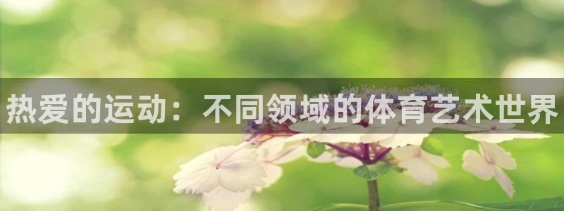 3377体育官方正版app娱乐首页官网下载：热爱的运