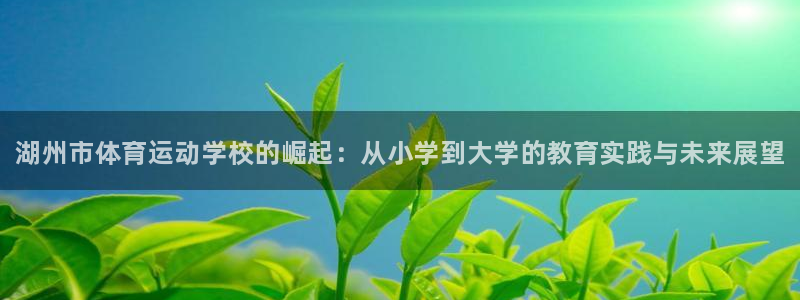 3377体育官网下载平台是正规平台吗知乎：湖州市体育