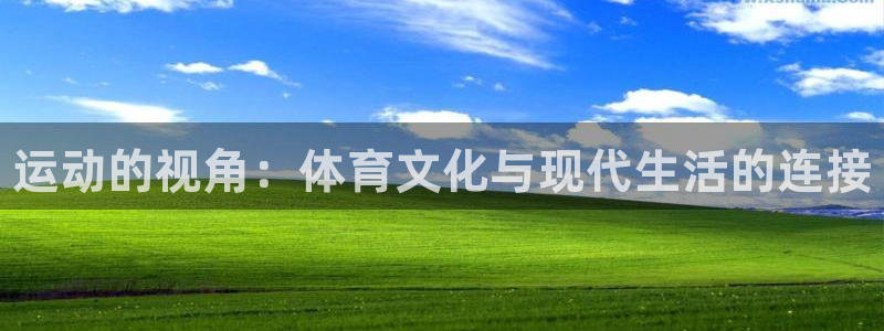 海南3377体育官网下载：运动的视角：体育文化与现代