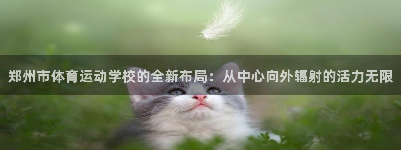3377体育官方正版app代理：郑州市体育运动学校的全新布局