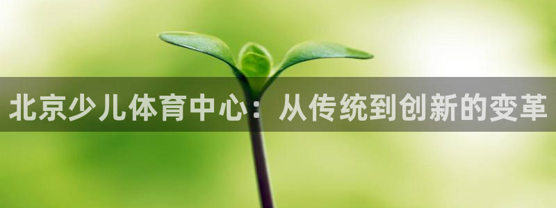 3377体育官方正版app五金厂：北京少儿体育中心：从传统到