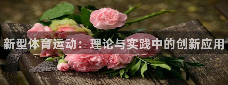 3377体育官网下载：新型体育运动：理论与实践中的创