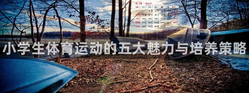 3377体育官网下载招商电话号码：小学生体育运动的五大魅力与