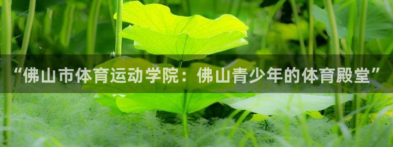3377体育官方正版app五金厂：“佛山市体育运动学院：佛山