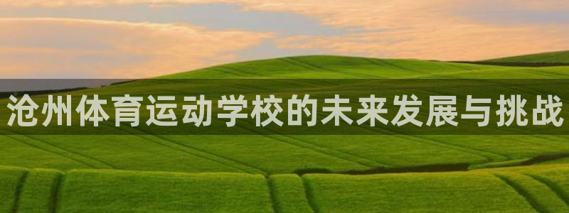 3377体育官网下载是干嘛的公司：沧州体育运动学校的