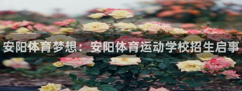 3377体育官方正版app开户：安阳体育梦想：安阳体