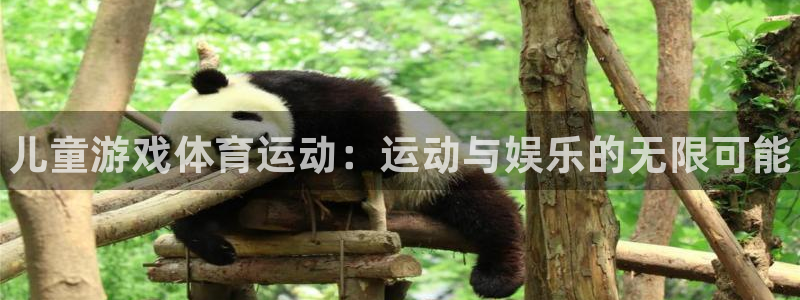 3377体育官方正版app娱乐下载：儿童游戏体育运动
