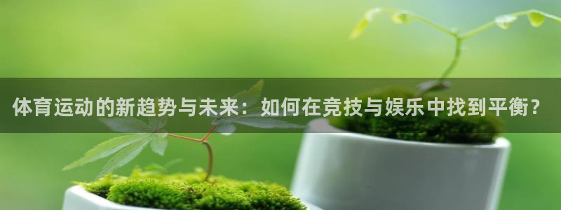 3377体育官方正版app集团logo