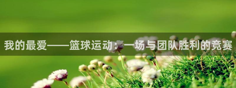 3377体育官网下载招商电话号码：我的最爱——篮球运动：一场
