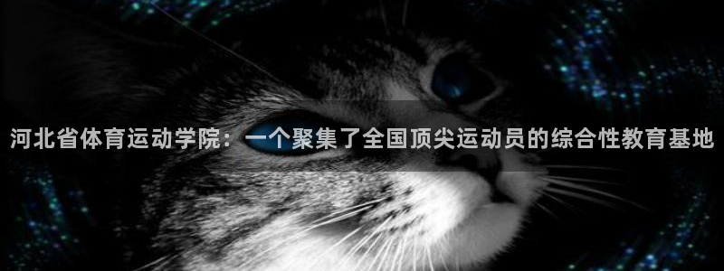 3377体育官方正版app集团官网网址：河北省体育运动学院：