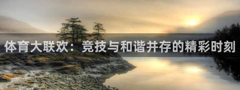 3377体育官网下载招商电话是多少啊：体育大联欢：竞技与和谐