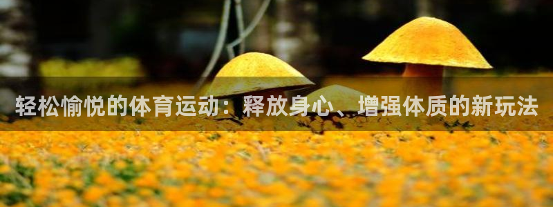 3377体育官网下载平台注册流程视频：轻松愉悦的体育