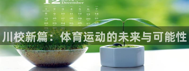 3377体育官方正版app代理：川校新篇：体育运动的