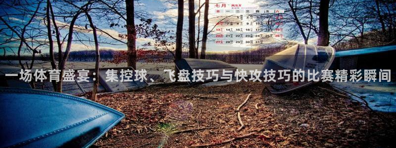 3377体育官方正版app娱乐网站：一场体育盛宴：集