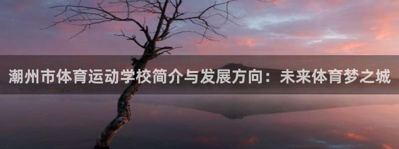 3377体育官网下载平台注册要钱吗安全吗：潮州市体育