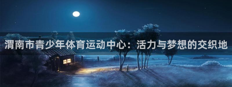 3377体育官网下载：渭南市青少年体育运动中心：活力与梦想的