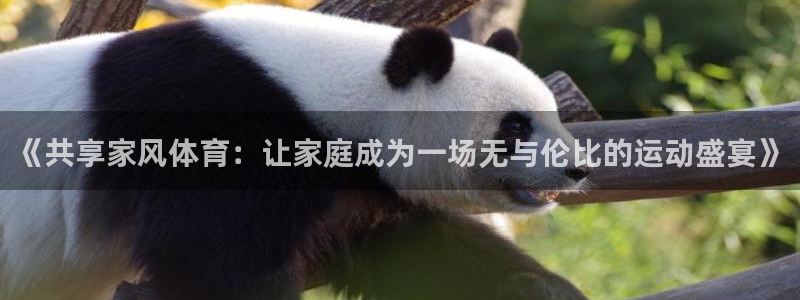 3377体育官方正版app官网：《共享家风体育：让家庭成为一