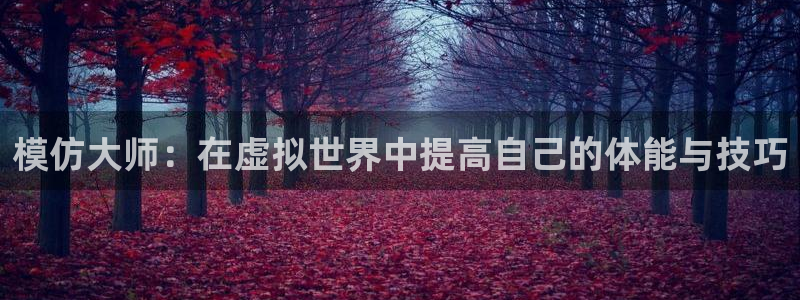 3377体育官方正版app集团官网网址：模仿大师：在虚拟世界