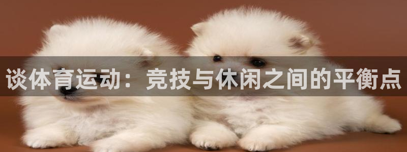 3377体育官方正版app神州：谈体育运动：竞技与休闲之间的