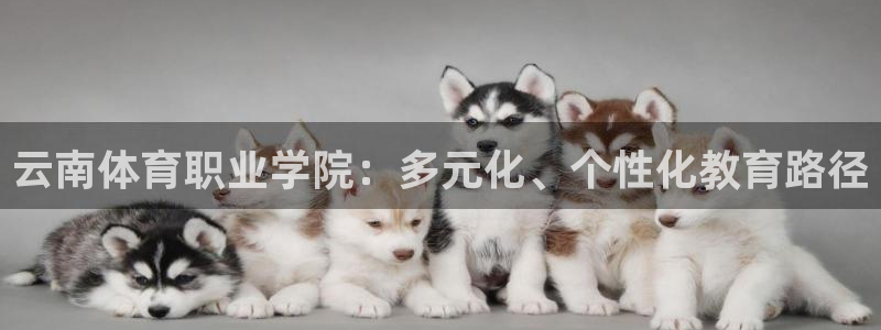 3377体育官方集团官网：云南体育职业学院：多元化、个性化教