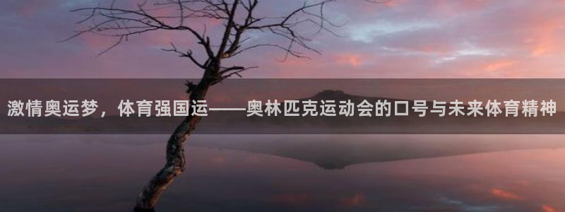 3377体育官方正版app娱乐首页网站大全：激情奥运