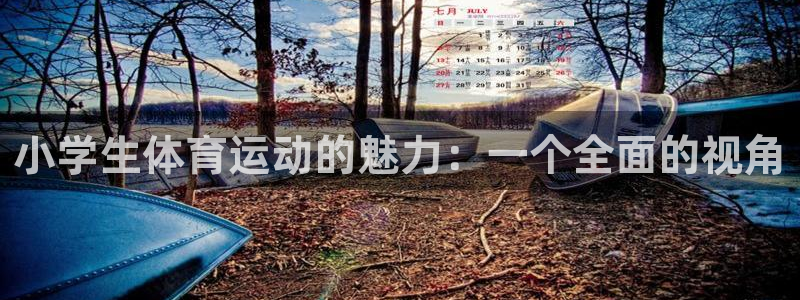 3377体育官方正版app集团官网首页：小学生体育运
