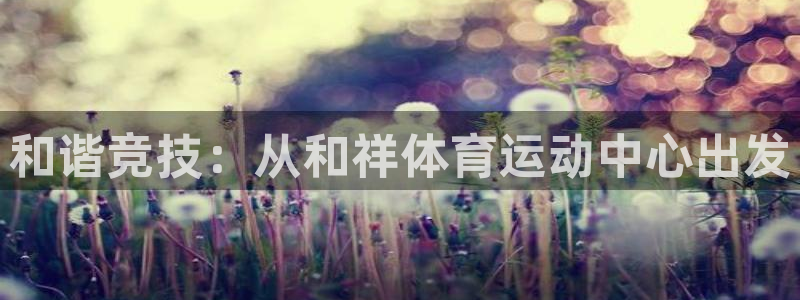 3377体育官方正版app五金厂：和谐竞技：从和祥体