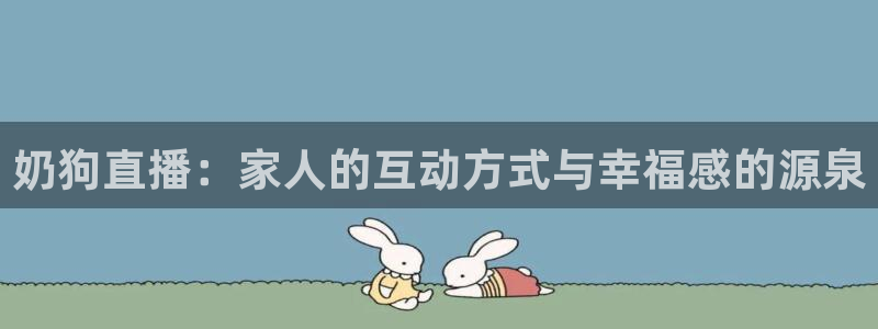 熊猫跳舞视频