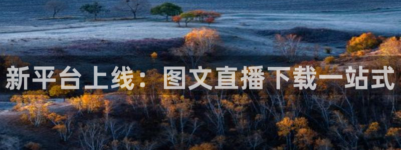 熊猫熊猫：新平台上线：图文直播下载一站式