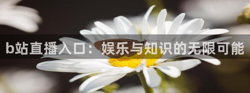熊猫体育直播nba：b站直播入口：娱乐与知识的无限可能
