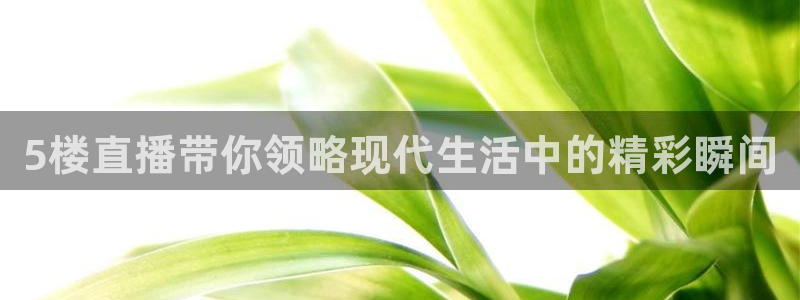 熊猫nba直播视频：5楼直播带你领略现代生活中的精彩瞬间